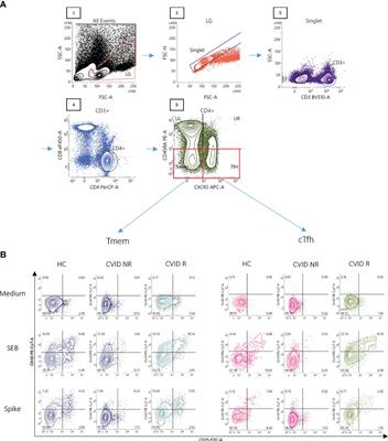 Antigen-Specific CD4+ T-Cell Activation in Primary Antibody Deficiency After BNT162b2 mRNA COVID-19 Vaccination